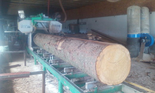 Pilous Forestor CTR 800 H